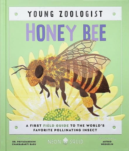 Honey Bee (Young Zoologist)