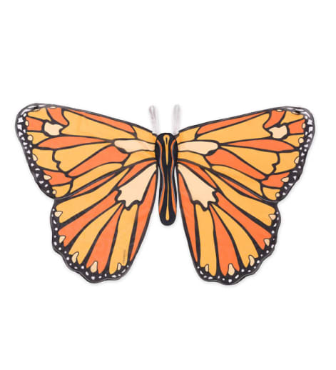Colorful Butterfly Wings - Orange