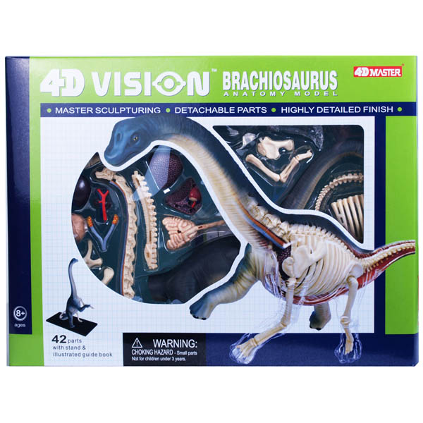 Anatomy Models TEDCO 4D Frog Anatomy Model 31 Detachable Parts