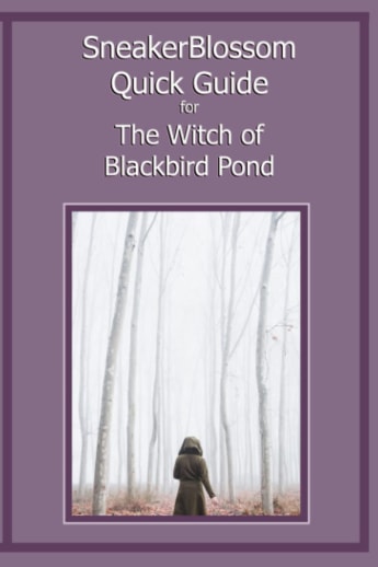 SneakerBlossom Quick Guide for the Witch of Blackbird Pond