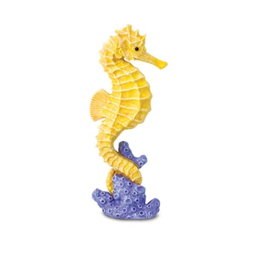 Seahorse (Incredible Creatures)