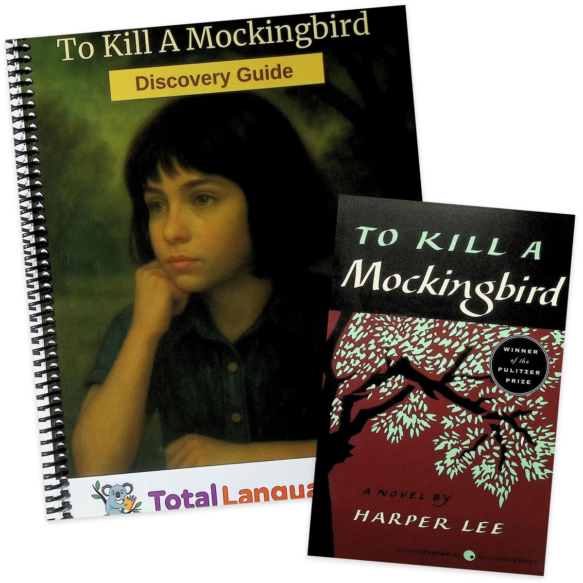 To Kill a Mockingbird: Total Language Plus Study Guide and Book