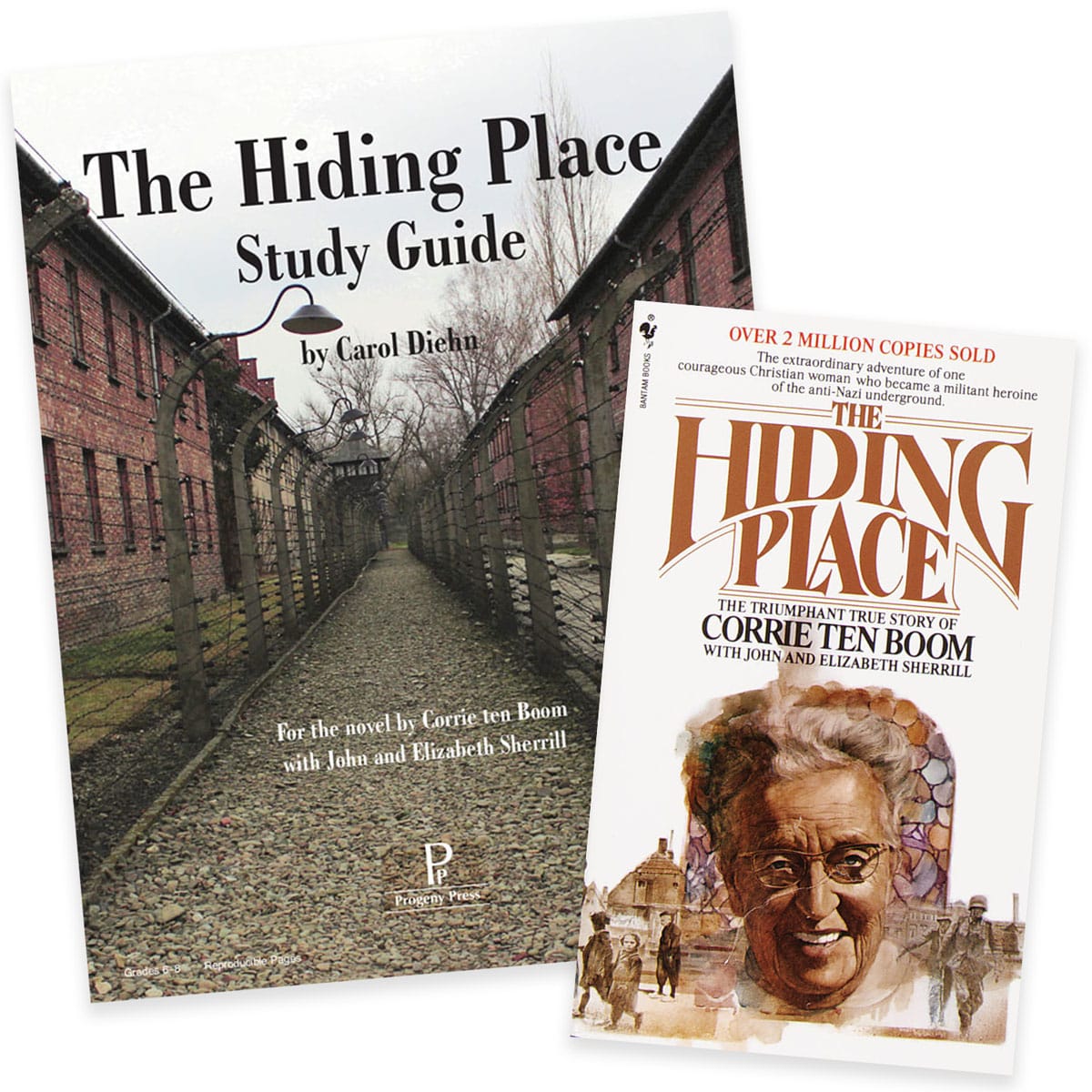 Progeny Press Hiding Place Set