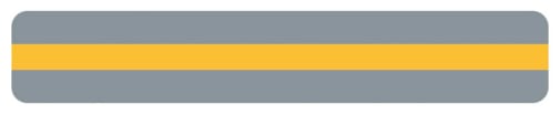 Goldenrod Reading Guide Strip