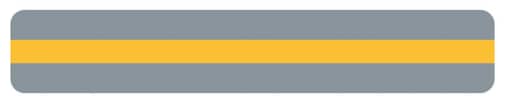 Goldenrod Reading Guide Strip