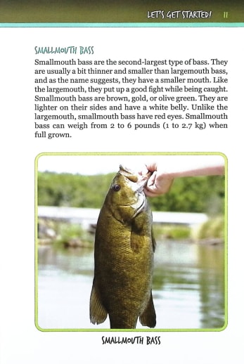 Bass Fishing Like a Pro (Insider's Guide to Fishing)