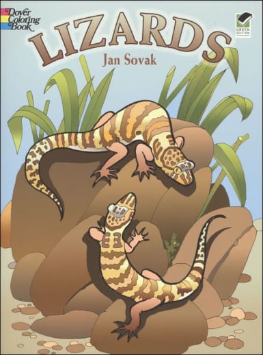 Lizards Coloring Book