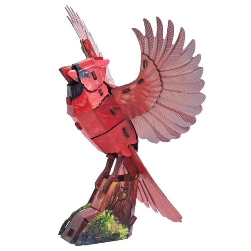 Sky Echo American Cardinal