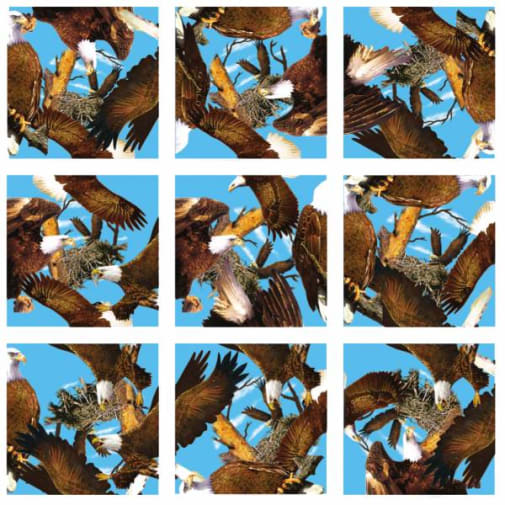 Bald Eagles Scramble Squares