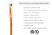 Cat6A Slim Ethernet Patch Cable, Snagless Easyboot, UTP, 0.75 ft, Orange
