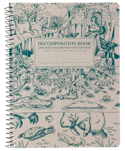 Everglades Decomposition College Ruled Book (7.5"x9.75")