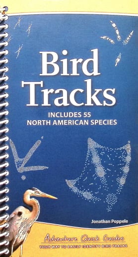 Bird Tracks (Adventure Quick Guide)