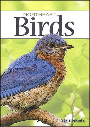 Birds of the Northeast Playing Cards