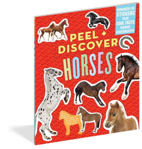 Peel + Discover: Horses