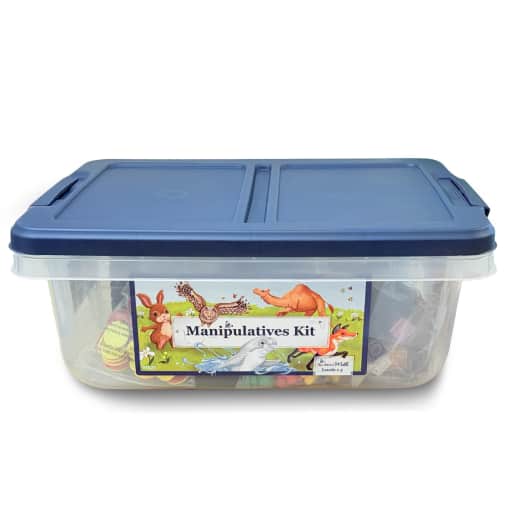 All About Math Manipulative Kit