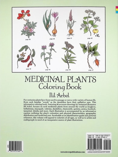olivenbaum poster Olive Tree – Vintage Botanisches Poster – Kuriosis Fine Art GmbH main image 0