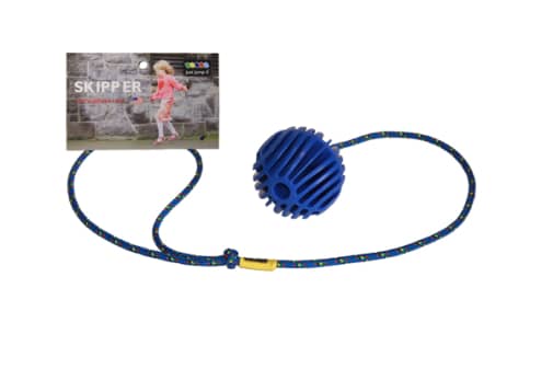 Blue Skipper Toy