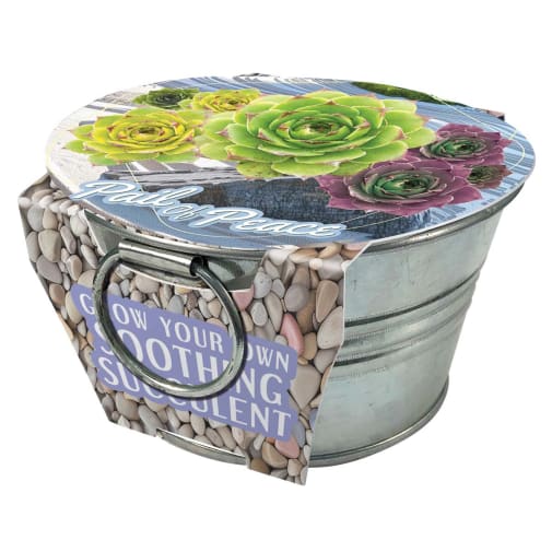 Pail of Peace