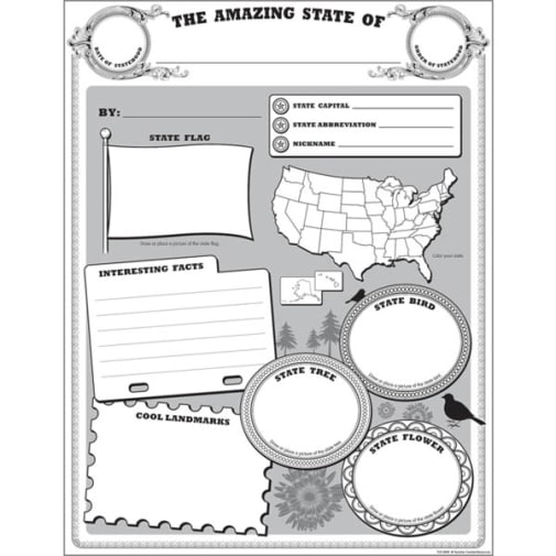 Amazing State Poster