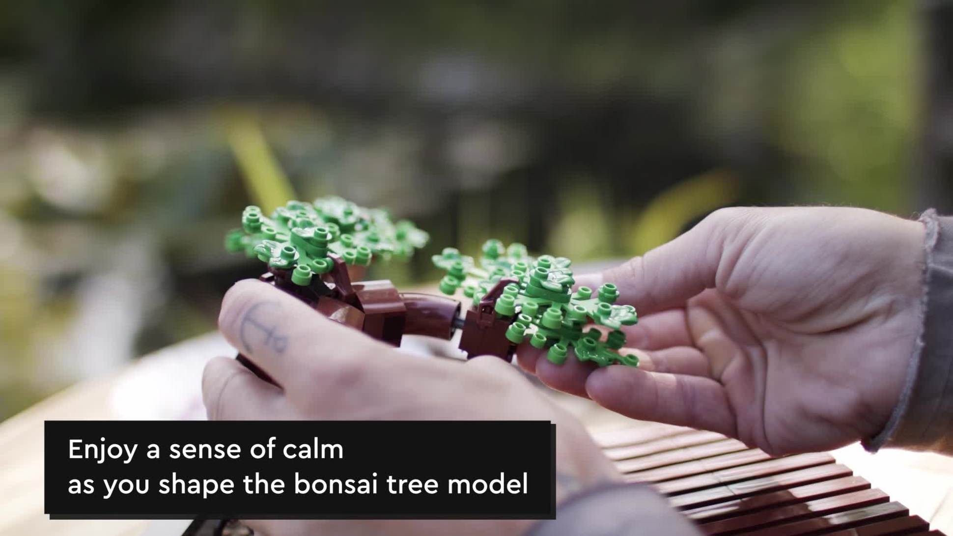 LEGO Icons Bonsai Tree with Cherry Blossom Flowers, DIY Plant Model for Home  Décor or Office Art, Unique Gift for Valentines Day for Him or Her, Botanical  Collection Building Set for Adults