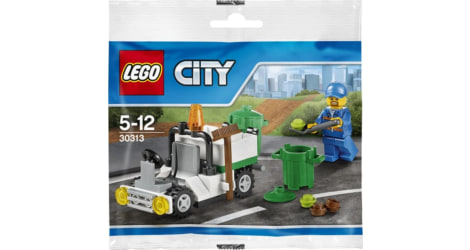 lego 30313