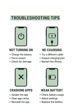 12jpg