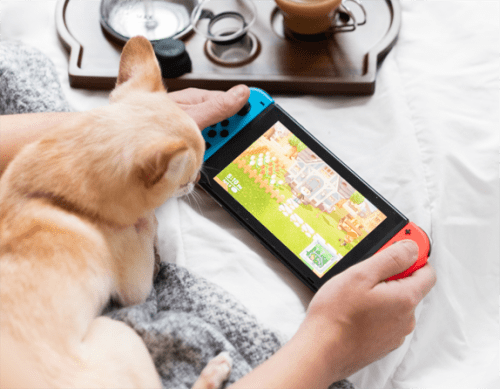 Switch Lite Reparatur