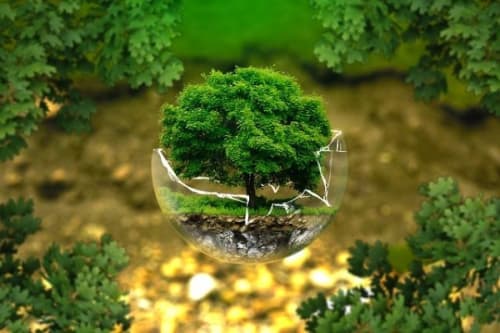Handy Reparaturen schonen die Umwelt"
alt="Handy Reparaturen schonen die Umwelt