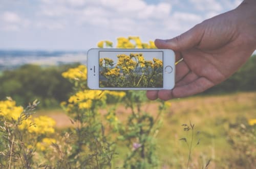 Smartphone Natur