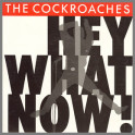 Hey What Now! by The Cockroaches