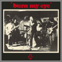 'burn my eye' by Radio Birdman