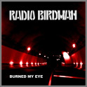 Burned My Eye B/W Photo Album by Radio Birdman