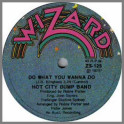 Do What You Wanna Do B/W Let's Fly by Hot City Bump Band