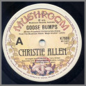 Goose Bumps by Christie Allen