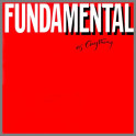 Fundamental As Anything by Mental As Anything