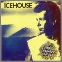 Great Southern Land by Icehouse (formerly Flowers)