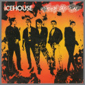 Touch The Fire by Icehouse (formerly Flowers)