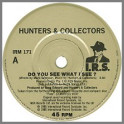 Do You See What I See? by Hunters & Collectors