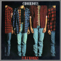 Fireworks by Choirboys