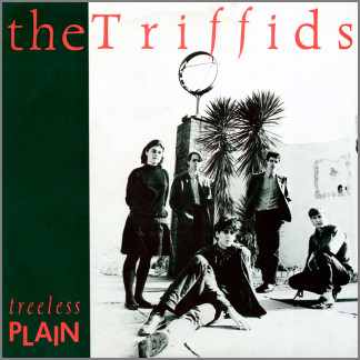 Treeless Plain by The Triffids