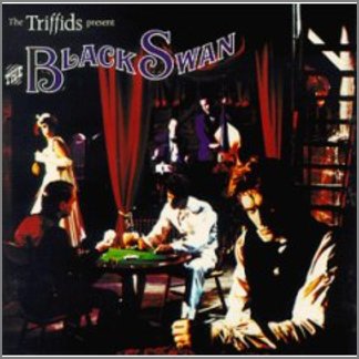 The Triffids Present The Black Swan by The Triffids