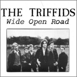 Wide Open Road by The Triffids