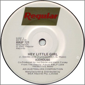 Hey Little Girl by Icehouse (formerly Flowers)