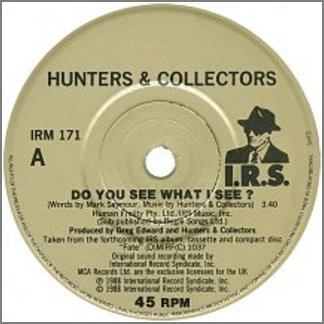 Do You See What I See? by Hunters & Collectors