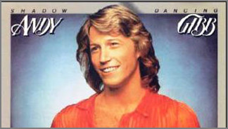 Andy Gibb Band