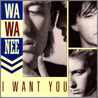 I Want You B/W When I See You Dancing by Wa Wa Nee