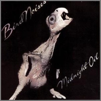 Bird Noises by Midnight Oil