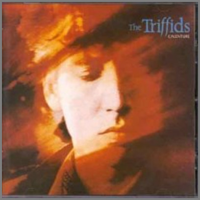 Calenture by The Triffids