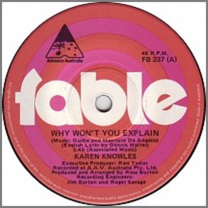 Why Won't You Explain by Karen Knowles