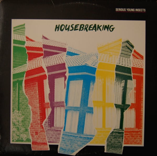 Housebreaking